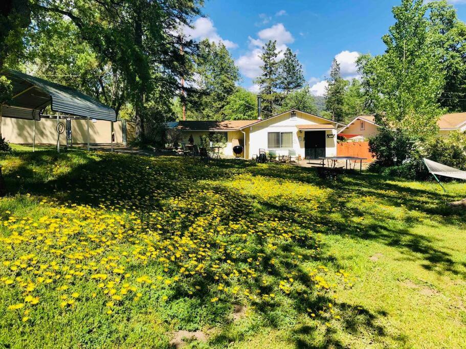 Sierra Sunset Cottage -Yosemite Area Vacation Cottage أهواهني المظهر الخارجي الصورة