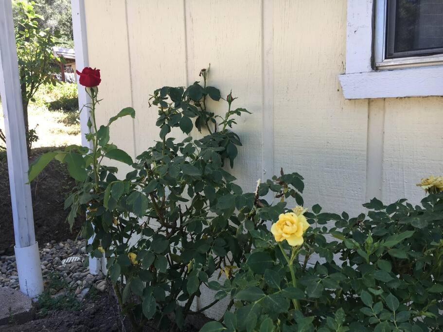 Sierra Sunset Cottage -Yosemite Area Vacation Cottage أهواهني المظهر الخارجي الصورة