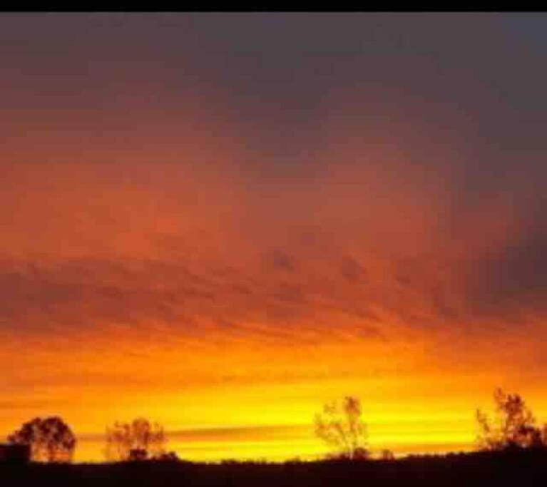 Sierra Sunset Cottage -Yosemite Area Vacation Cottage أهواهني المظهر الخارجي الصورة